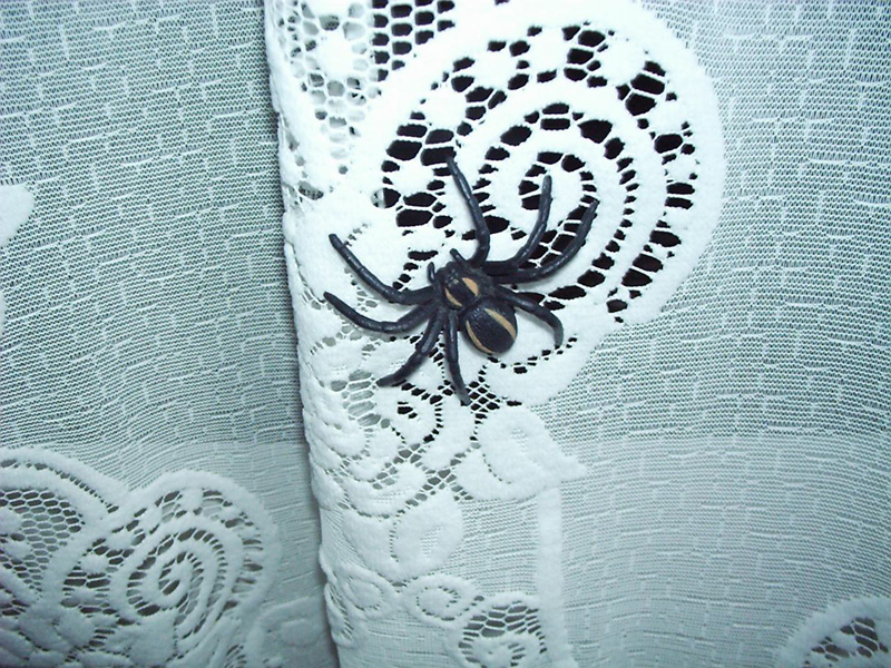 mûanyagspider